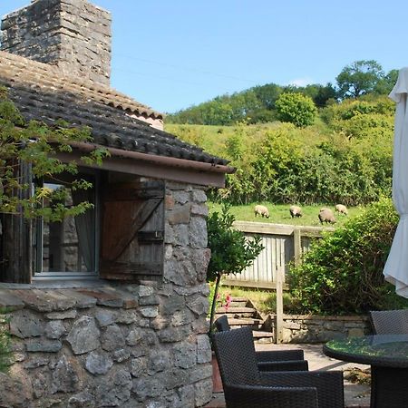 Fenny Castle Vineyard Cottage Wookey Esterno foto