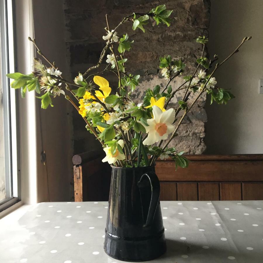 Fenny Castle Vineyard Cottage Wookey Esterno foto