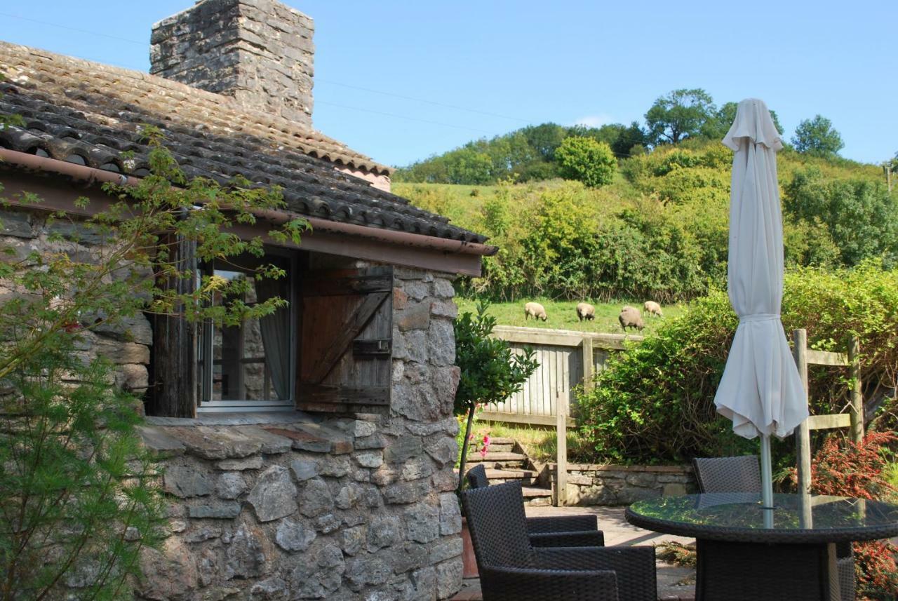 Fenny Castle Vineyard Cottage Wookey Esterno foto