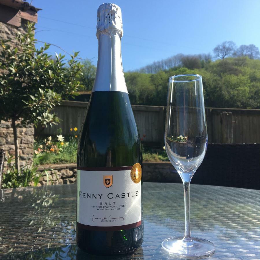 Fenny Castle Vineyard Cottage Wookey Esterno foto