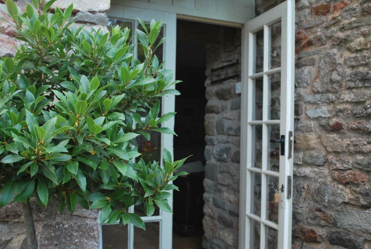 Fenny Castle Vineyard Cottage Wookey Esterno foto