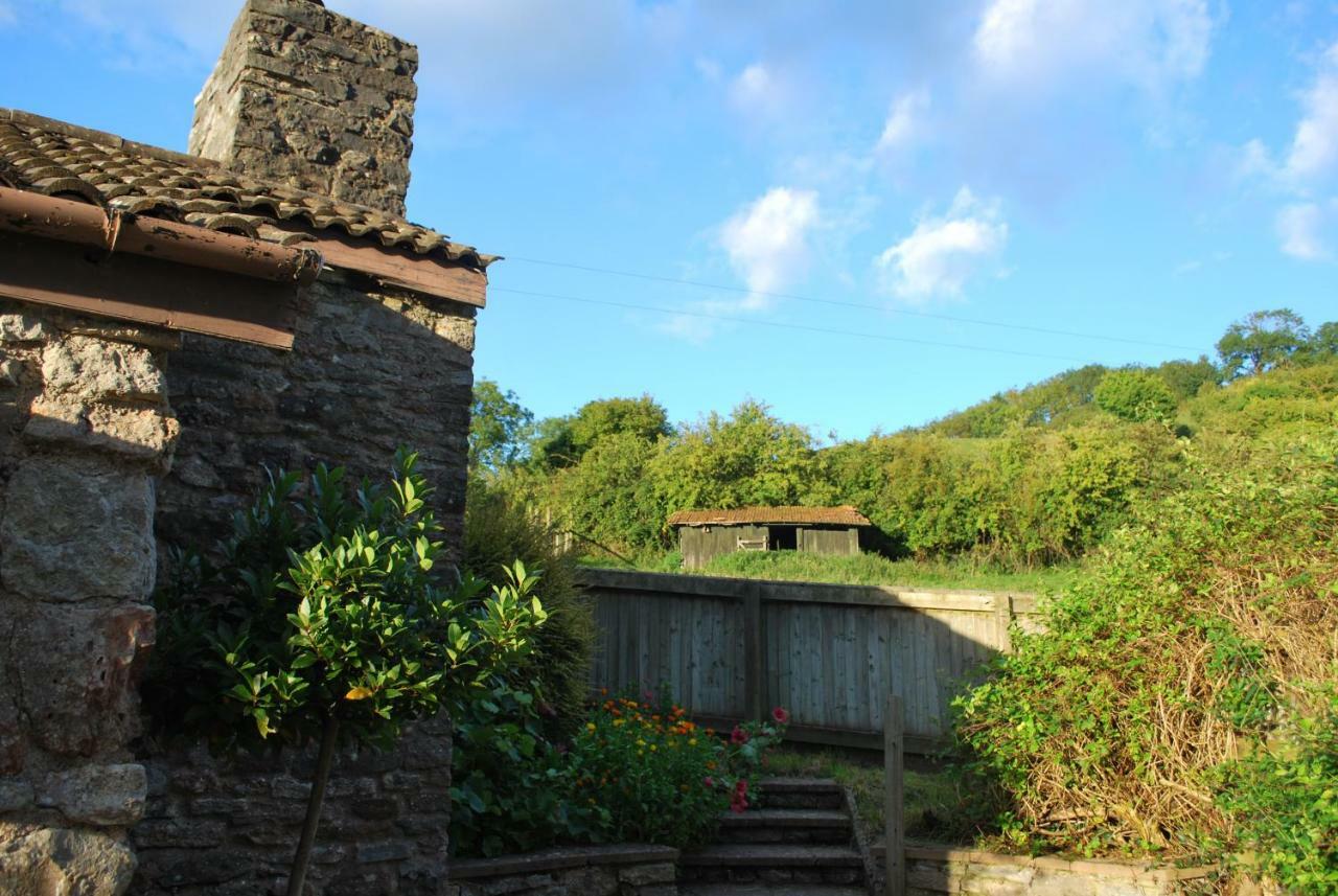 Fenny Castle Vineyard Cottage Wookey Esterno foto